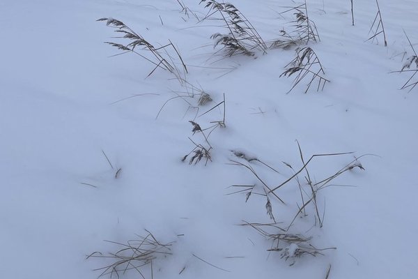 2025. gada kopsavilkums