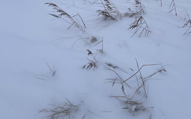 Итоги 2005 года